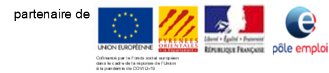 Logo fse pe cd66